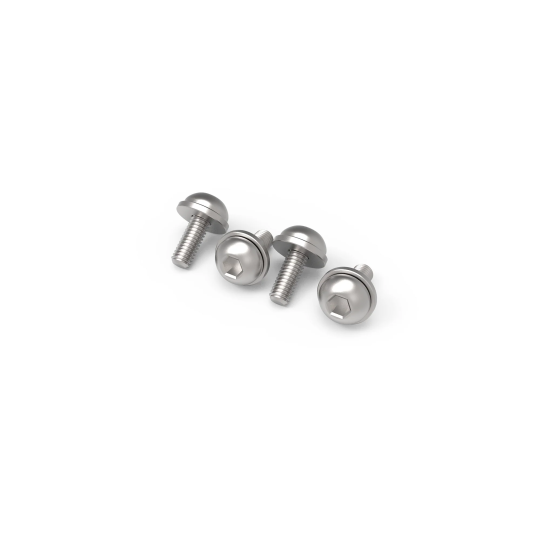 Wheel & Dropout Bolts (4 PCS)轮组螺丝